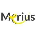 a logo with a yellow cat
