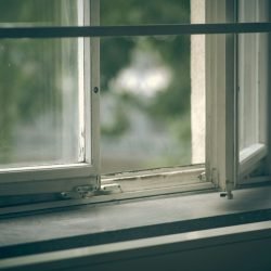 michael-fortsch-9dfoaxP16gU-unsplash michael-fortsch-9dfoaxP16gU-unsplash