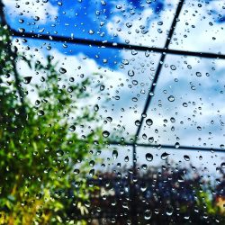 A view through a rain-covered window, focusing on raindrops with a blurred garden background.